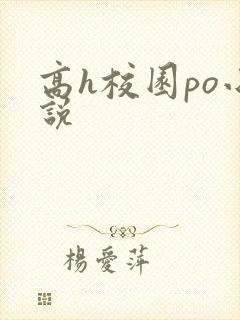 高h校园po小说