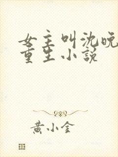 女主叫沈晚晚的重生小说