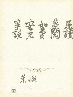 宁安如梦原著小说免费阅读无弹窗