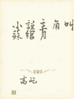 小说主角叫林凡苏绾月封面