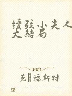 续弦小夫人春喜大结局