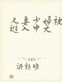 人妻少妇被猛烈进入中文封面