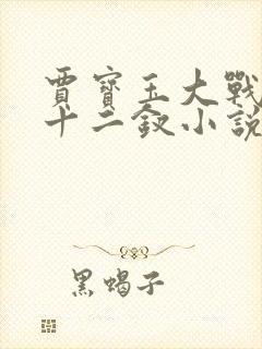 贾宝玉大战金陵十二钗小说