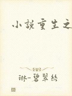 小说重生之官道