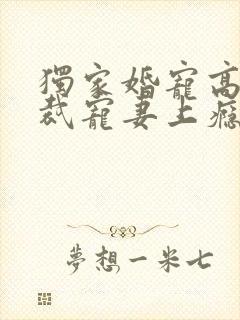 独家婚宠高冷总裁宠妻上瘾免费阅读