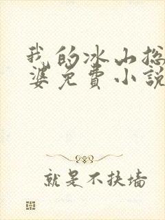 我的冰山总裁老婆免费小说封面