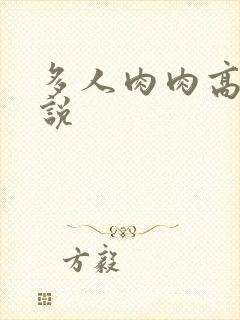 多人肉肉高h小说