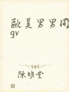 欧美男男同性恋gv
