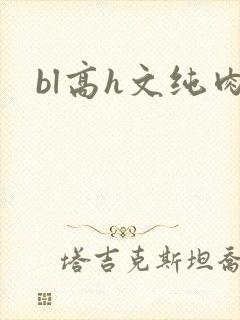 bl高h文纯肉封面