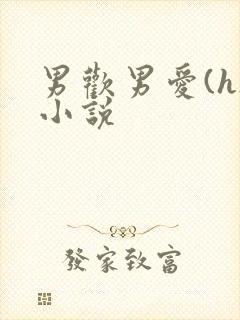 男欢男爱(h)小说封面