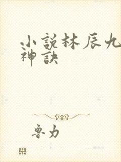 小说林辰九天斩神诀