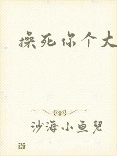 操死你个大骚货