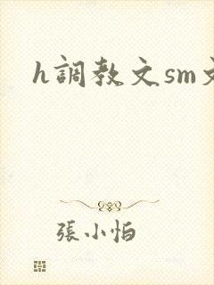 h调教文sm文封面