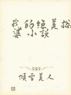 我的绝美总裁老婆 小说