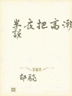 半夜把高潮了小说