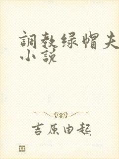 调教绿帽夫妻奴小说封面