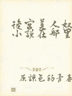 后宫美人奴原著小说在哪里看