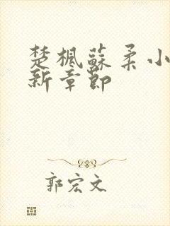 楚枫苏柔小说最新章节封面