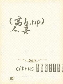 (高h.np)人妻