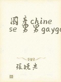 国产chinese 男男gaygay封面