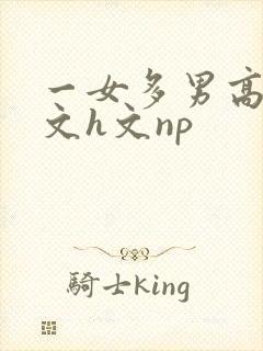 一女多男高辣h文h文np封面