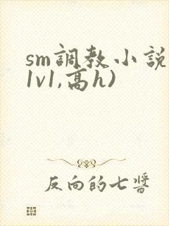 sm调教小说(1v1,高h)