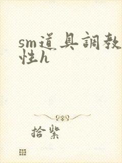 sm道具调教双性h封面