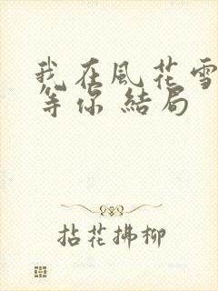 我在风花雪月里等你 结局封面