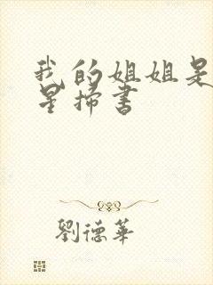 我的姐姐是大明星扫书