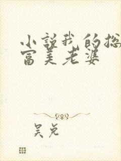 小说我的总裁白富美老婆