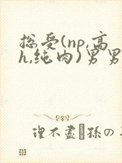 总受(np,高h,纯肉)男男