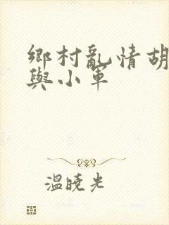 乡村乱情胡秀英与小军封面