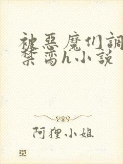 被恶魔们调教成禁脔h小说封面