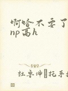 啊哈不要了男男np高h