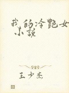 我的冷艳女总裁 小说