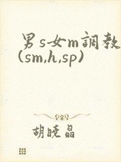 男s女m调教文(sm,h,sp)