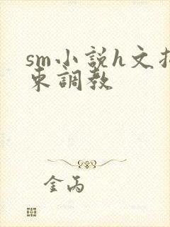 sm小说h文拘束调教