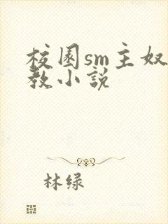 校园sm主奴调教小说