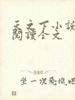 天之下小说在线阅读全文