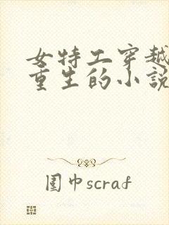 女特工穿越古代重生的小说