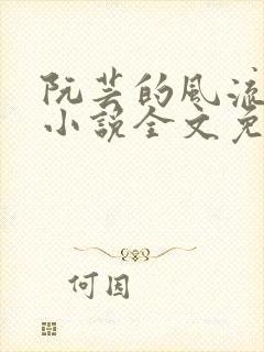 阮芸的风流人生小说全文免费阅读