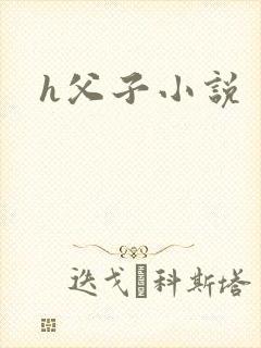 h父子小说封面
