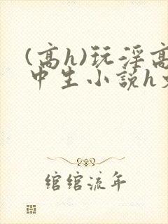 (高h)玩淫高中生小说h文