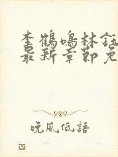 李鹤鸣林钰小说最新章节免费阅读封面