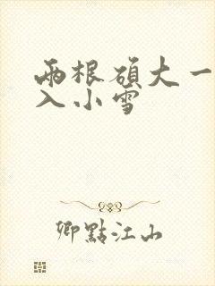 两根硕大一起挤入小雪