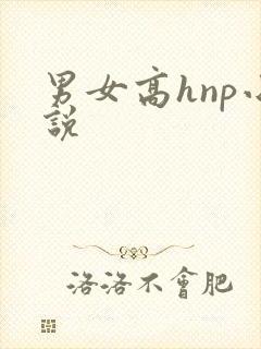 男女高hnp小说