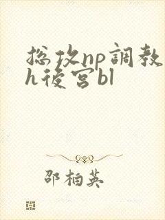 总攻np调教高h后宫bl封面