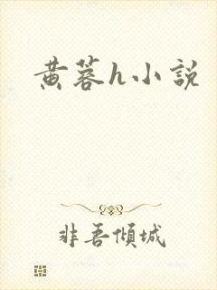 黄蓉h小说封面