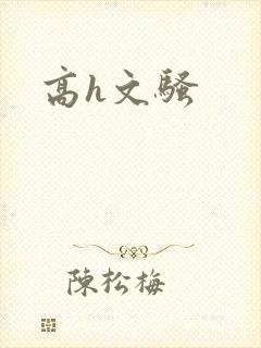 高h文骚