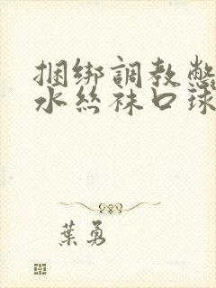 捆绑调教憋尿灌水丝袜口球小说